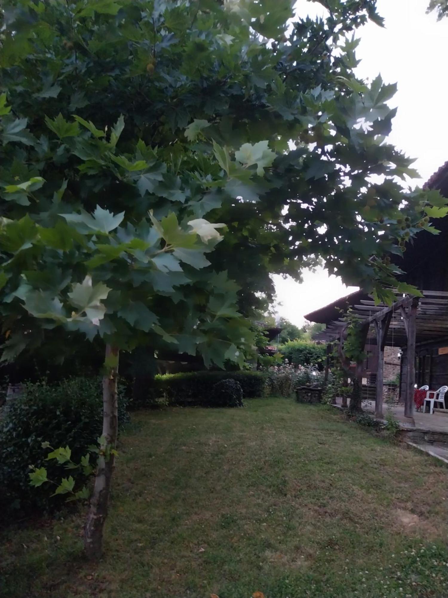 Guest Houses "Zlatna Oresha - Complex" Scherawna Exterior foto